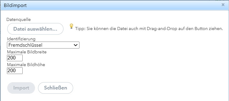 Bildimport_Fenster.jpg